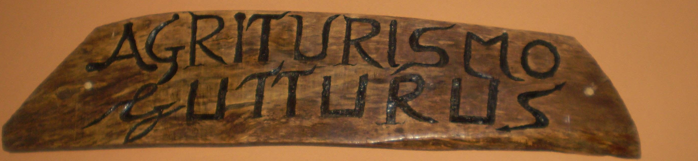 Agriturismo Gutturus – torna all'inizio